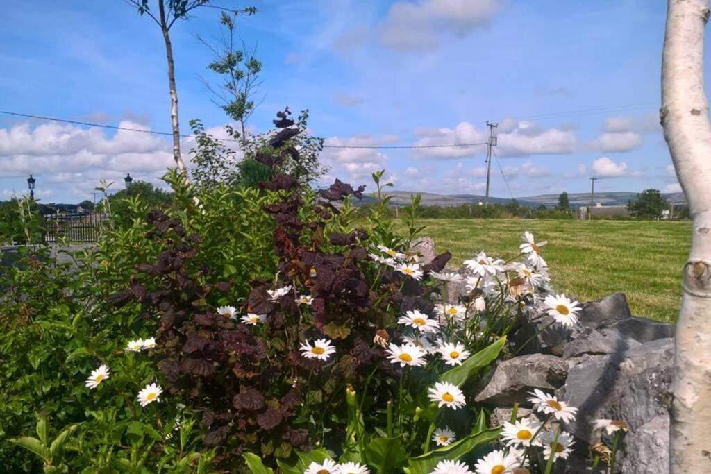 Villa NEW: The Burren Art Gallery -  Tubber Exterior foto
