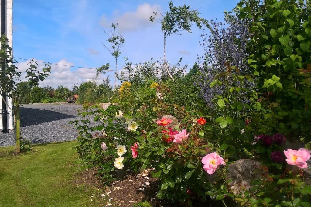 Villa NEW: The Burren Art Gallery -  Tubber Exterior foto